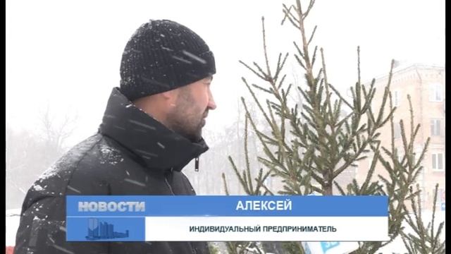 Зареченцы начали покупать живые ёлки