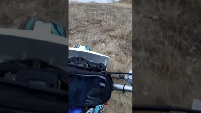 7 ноября 2023 г.