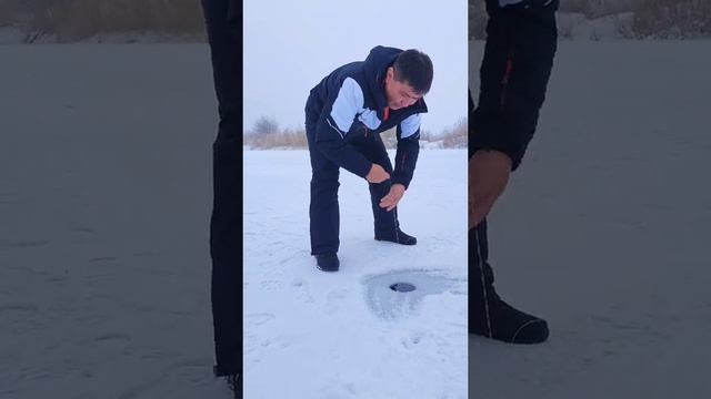 1000014099.mp4
