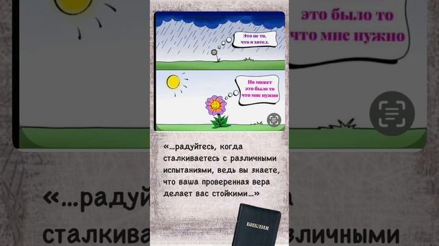 5414481658981275593