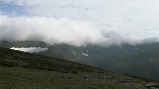 40 лет сохраняя природу