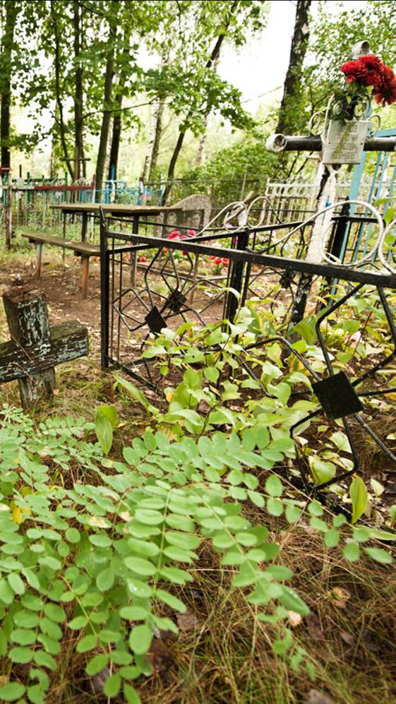 Живущим некогда усопших поминать. Александра Лебедева