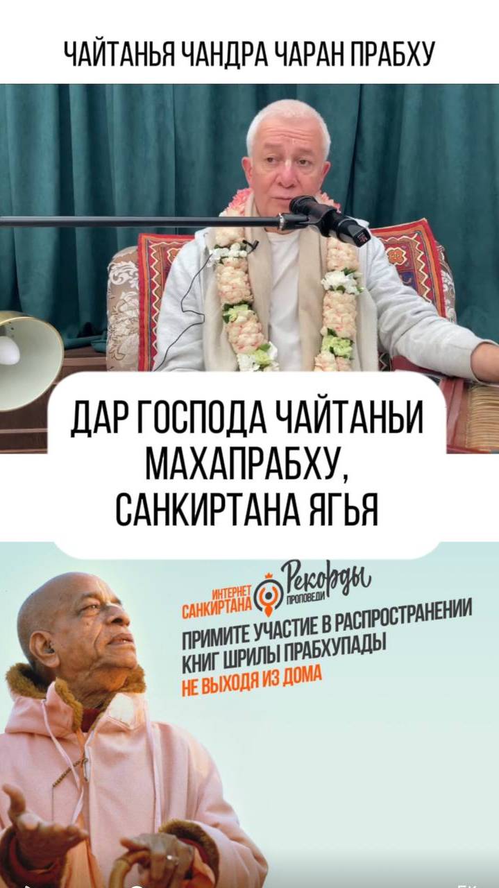 Лучшее средство от войны и для иммунитета.