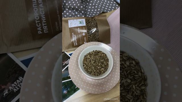 Семена расторопши пятнистой для печени | Алтайвита