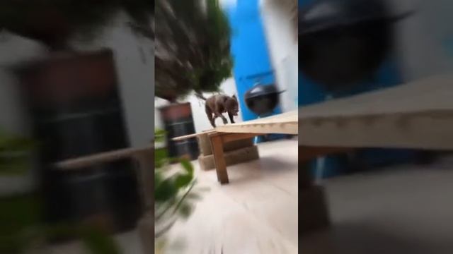 1000012898.mp4