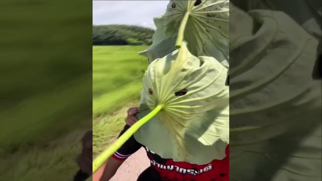 1000014579.mp4