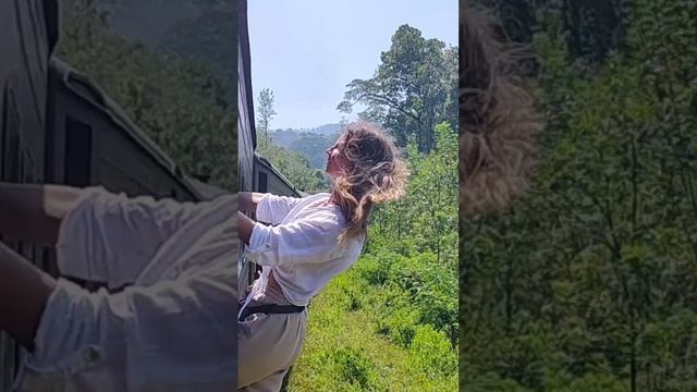 Летим на солнечный Гоа, на новогодние праздники 🏝️