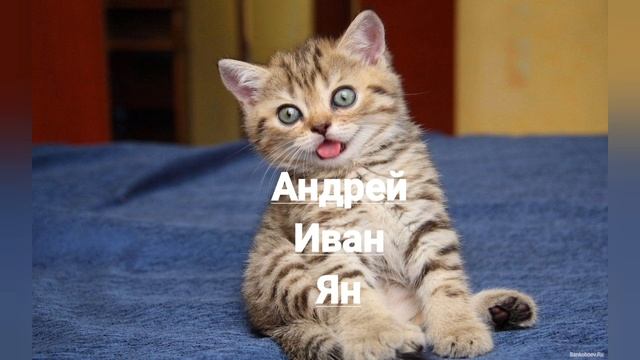 Именины 13 декабря