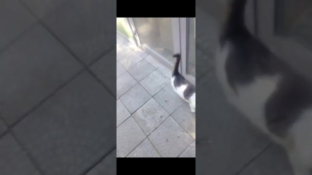 1000047159.mp4