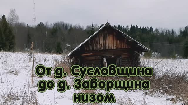 От деревни Сусловщина до деревни Заборщина низом.mp4