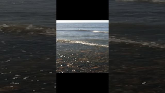 Сезон 15 серия 58 Восточно-Сибирское море