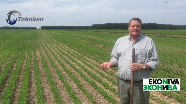 Технология NO-till. прямой посев. Качество посева сои дисковой сеялкой с турбодиском.