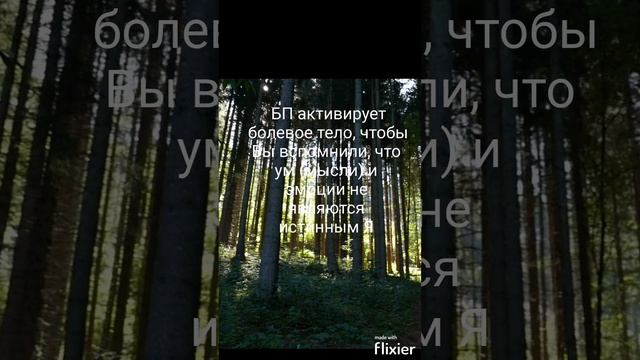 Цель встречи с БП