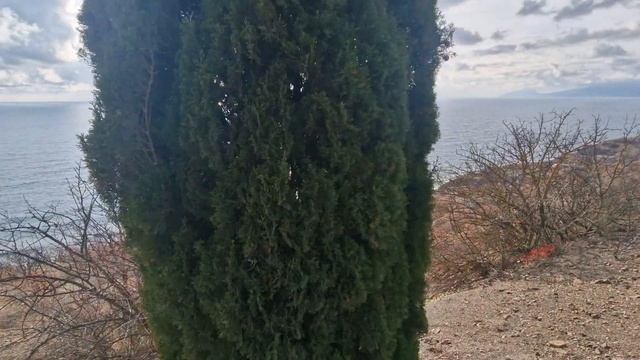 Черноморским_берегом_Феодосия_Малореченское.mp4