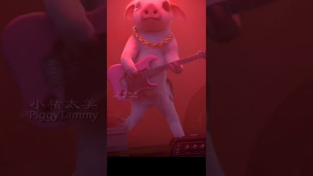 жизнь свинки Тэмми часть 24