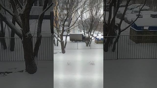 VID-20241213-WA0000