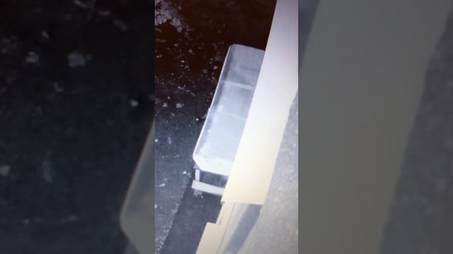 Кота что-то выкинуло из дома