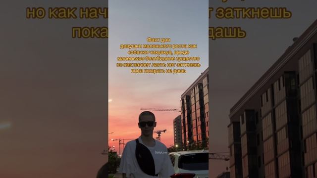 Удивительно, но факт 😎