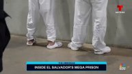 Взгляд изнутри на мега-тюрьму в Сальвадоре
