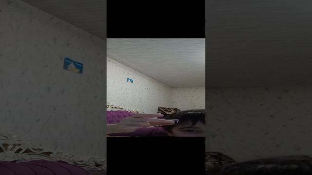 Мултик пра skibidi tualet.mp4