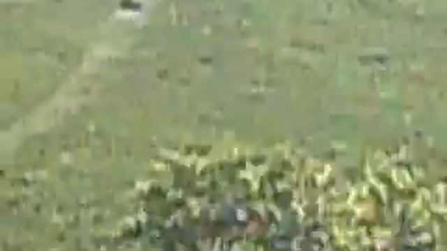 Kayles Tuck n Roll Dwn Arthurs Seat lol