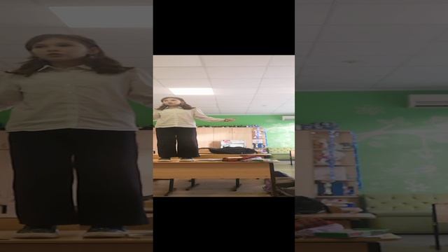 VID_20241213_131514.mp4