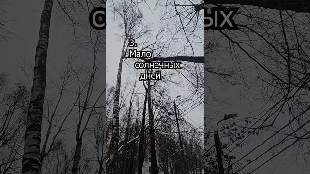 Четыре минуса зимы в Москве