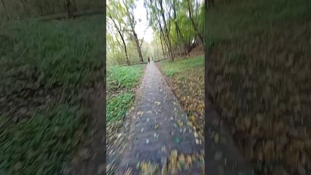 Гуляем
Долина реки Сетунь