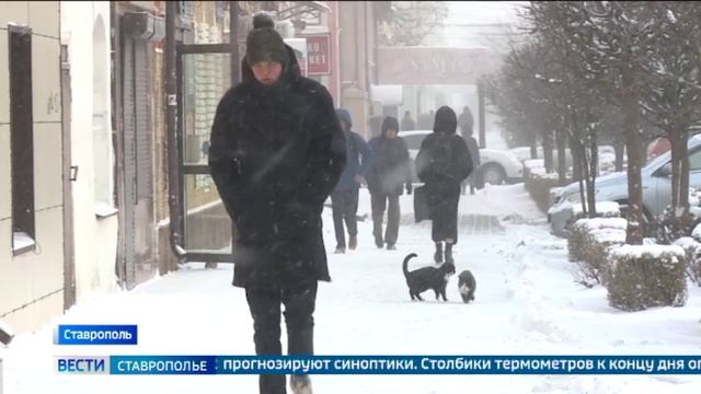 Метель накрыла несколько округов Ставрополья