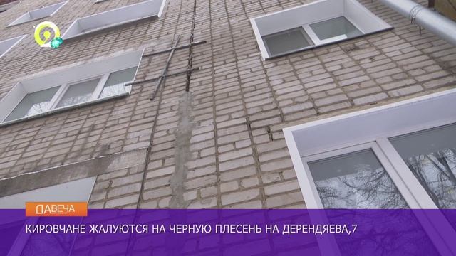 Давеча | 13.12.2024 |Черная плесень на Дерендяева, 7