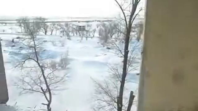 Дом милый дом