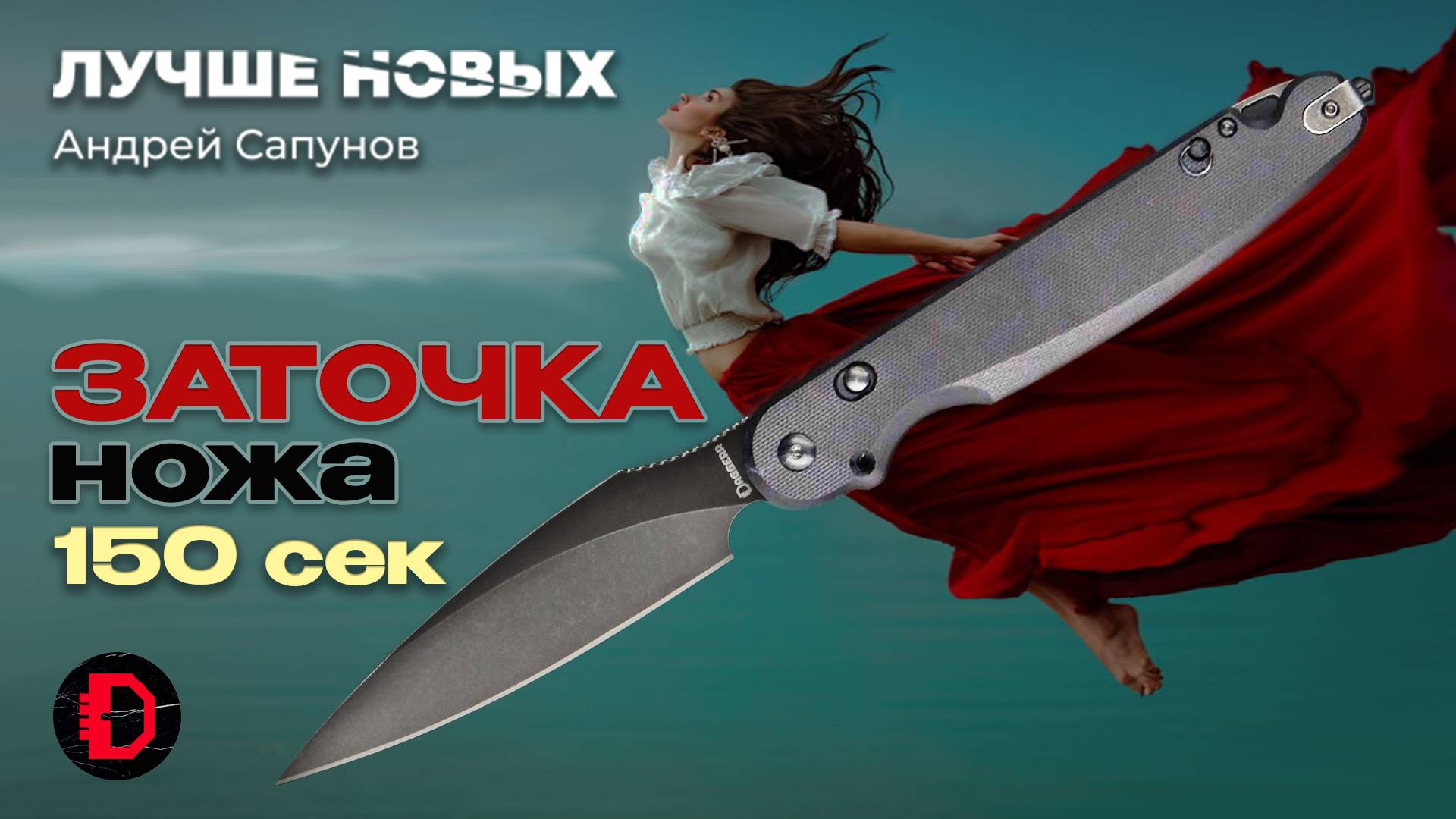 Заточка НОЖА 150 секунд. DAGGERR Parrot Black, сталь VG10