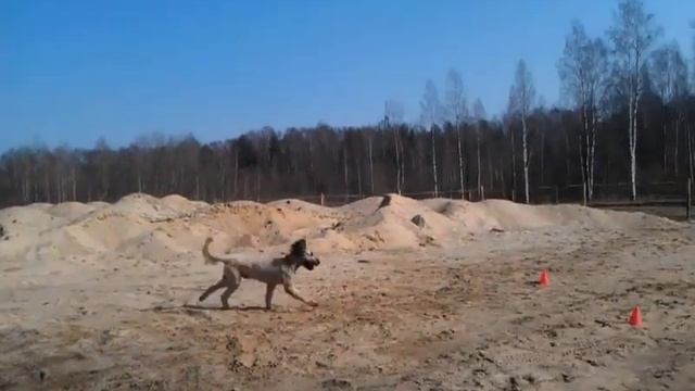 К 2 пуск   2