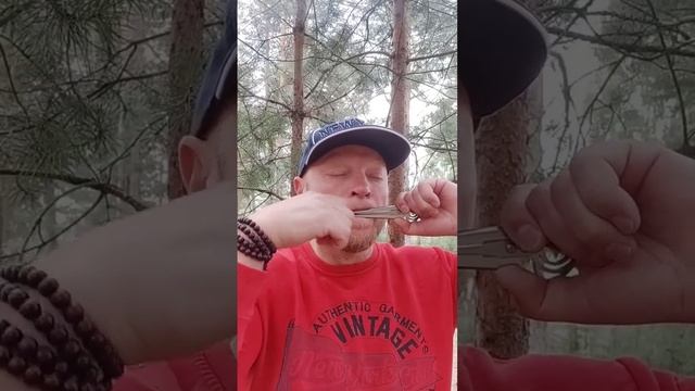 Радуга жизни дзен