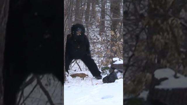 2024-12-13-200336341