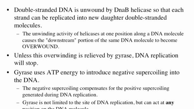 Replication and Gene Regulation #1