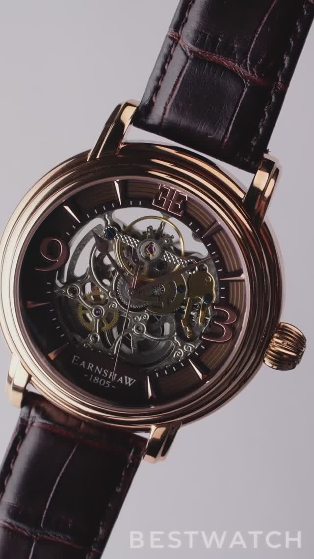 Часы Earnshaw ES-8011-07 - купить на Bestwatch.ru