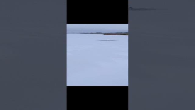 1000094740.mp4