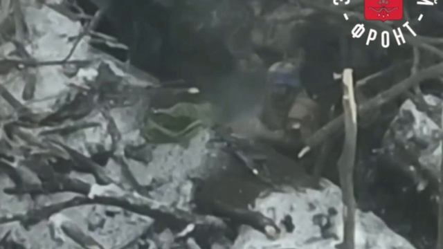 Хохол словил маслину свой пустой кастрюлей.