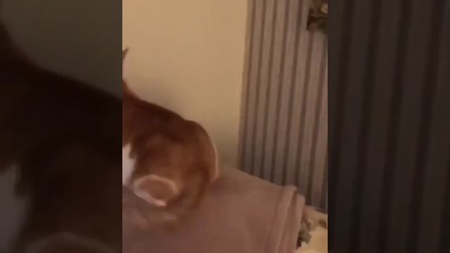 1000023717.mp4