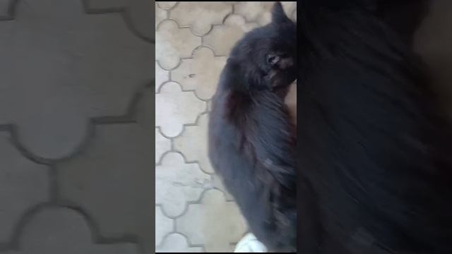 1000133550.mp4