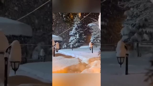 СТИХИ В ПОТОКЕ