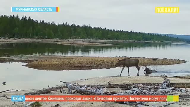 Мончегорск. Лапландский заповедник
