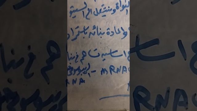 رؤى دقينش تعليمى ثانوى الانواع الثلاثة فى RNA هى التى تدخل فى بناء البروتين