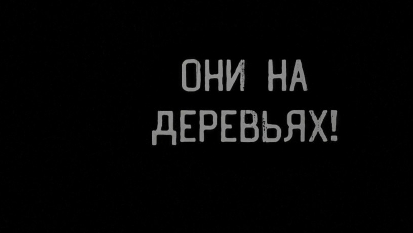 они на деревьях.. страшные истории на ночь.