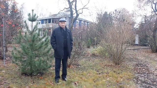 Прогулка по парку с Александром Ермаковым. 3.11.2020
