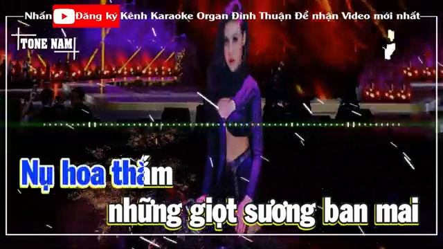 Phố Hoa Karaoke Remix Tone Nam