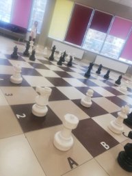 Играем в Шахматы
