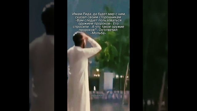 InShot_20241213_204953640.mp4