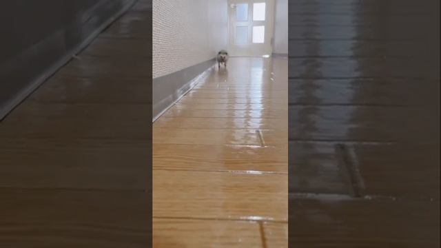 1000023718.mp4